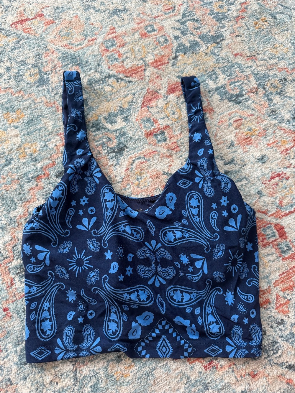 aerie Navy and Light Blue Paisley Crop Top